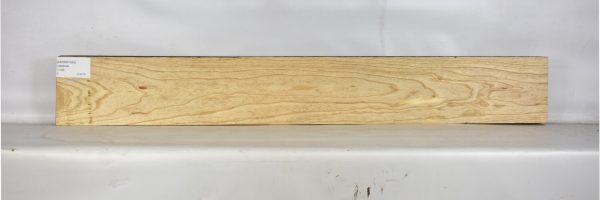 ASHSW1032_1