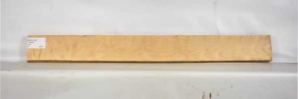 BIRFL1194_1