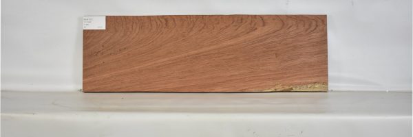 BUB1201_2