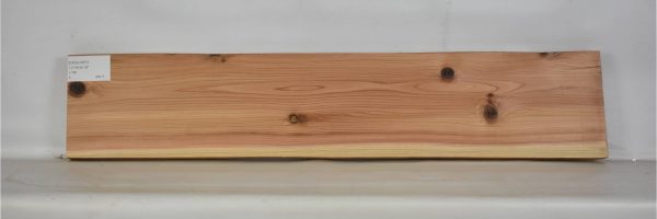 CEDJ1051_2