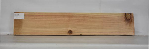 CEDJ1058_1