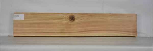 CEDJ1058_2