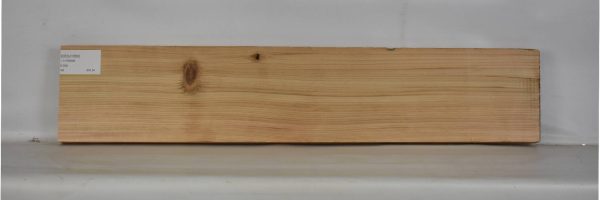 CEDJ1060_1