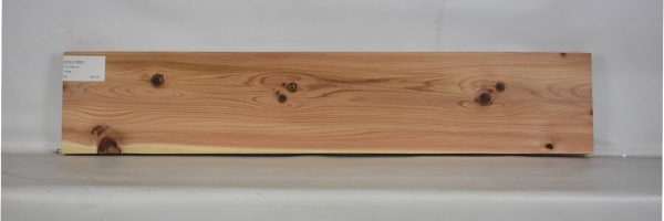 CEDJ1068_2