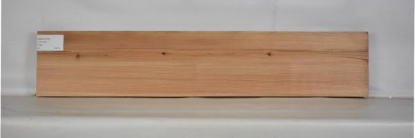 CEDJ1072_2