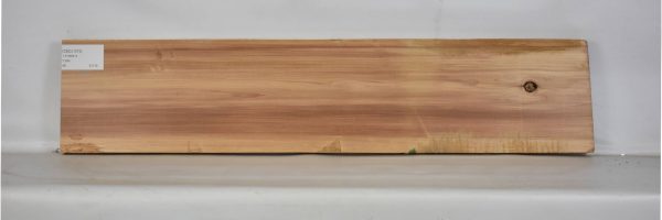 CEDJ1073_2