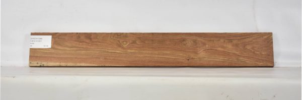 CHECH1296_1