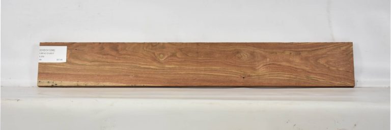 CHECH1296_1