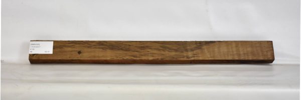 IMB1003_1