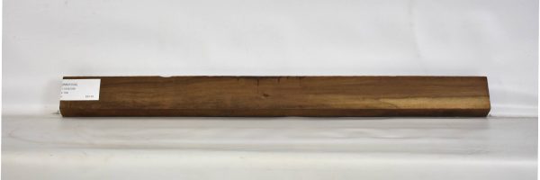 IMB1039_1
