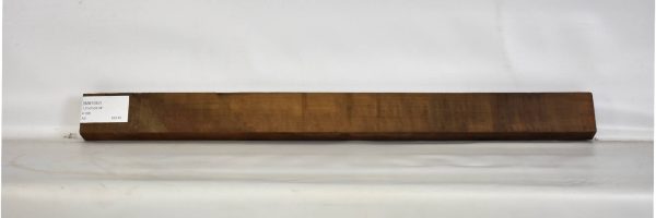IMB1042_1