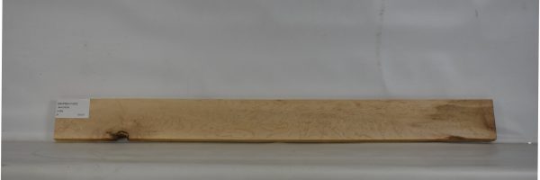 MAPBEH1500_1