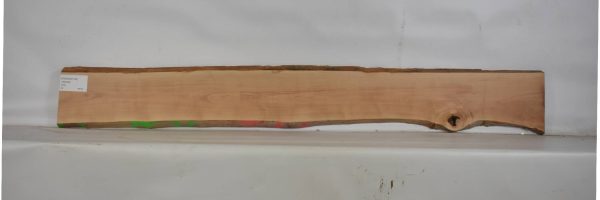 PEARSW1164_2