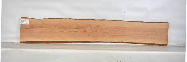 PEARSW1169_1