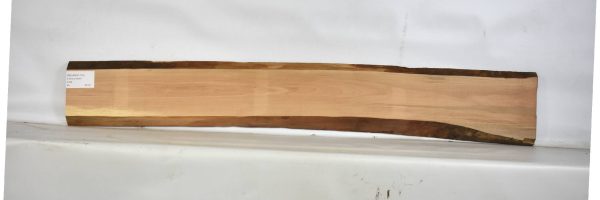 PEARSW1170_2