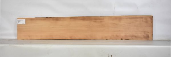 PEARSW1173_1