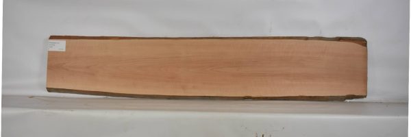 PEARSW1177_2
