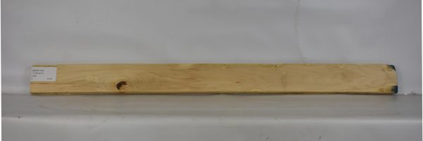 BASS1100_1