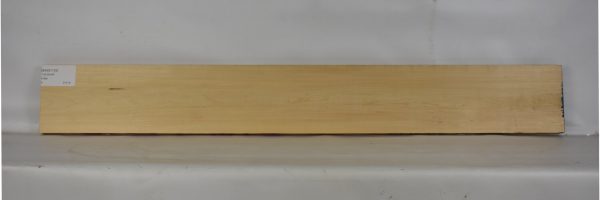 BASS1103_2