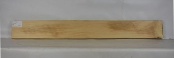 BASS1106_2