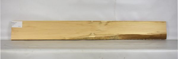 BASS1107_2