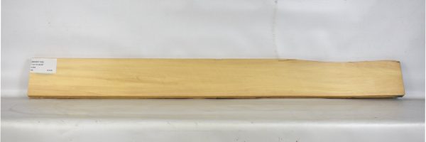 BASS1109_2