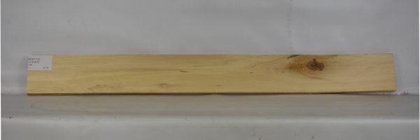 BASS1110_2