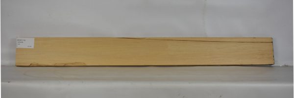 BASS1116_2