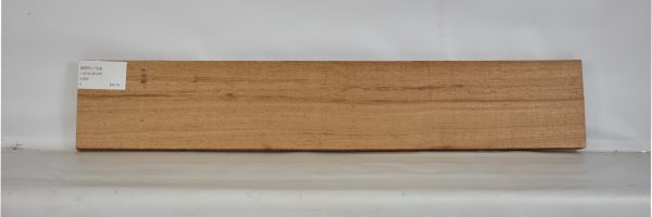 BERL1104_2