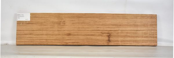 BERL1119_2