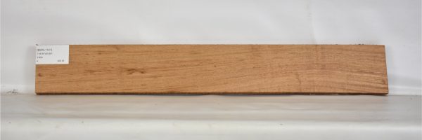 BERL1121_1
