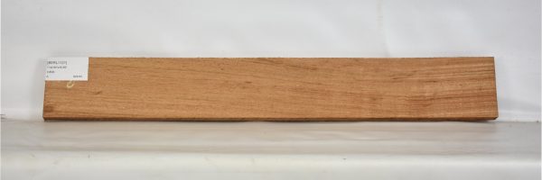 BERL1121_2