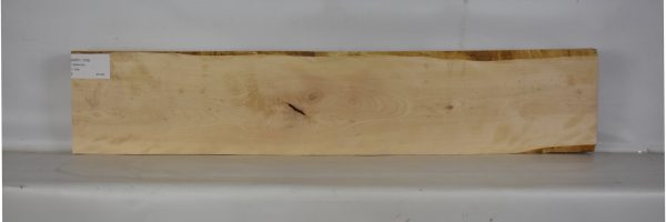 BIRFL1209_2