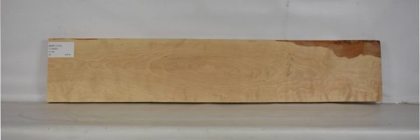 BIRFL1219_2