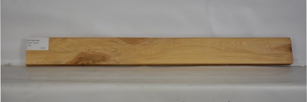 CYPSW1058_1