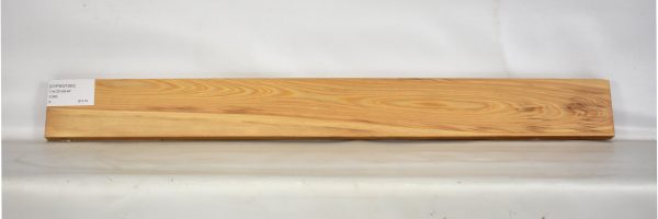 CYPSW1060_1