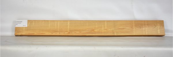 CYPSW1060_2