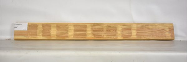 CYPSW1072_2