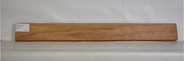 CYPSW1076_2