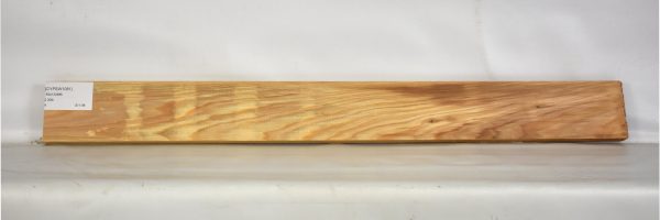 CYPSW1081_2