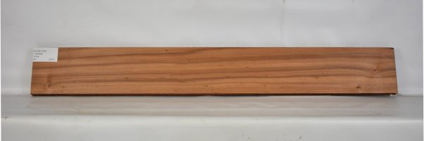 GONC1099_1