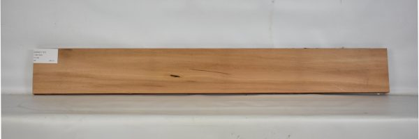 GONC1101_2