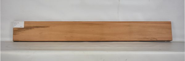 GONC1103_2