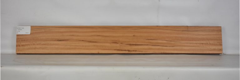 GONC1104_1