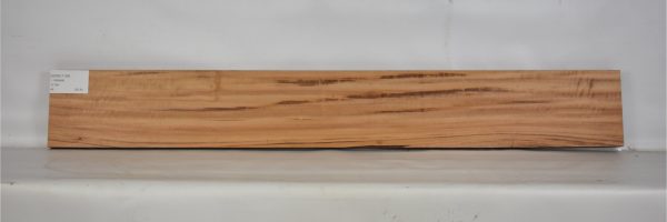 GONC1104_2