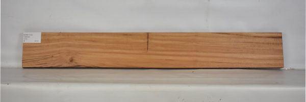 GONC1105_2