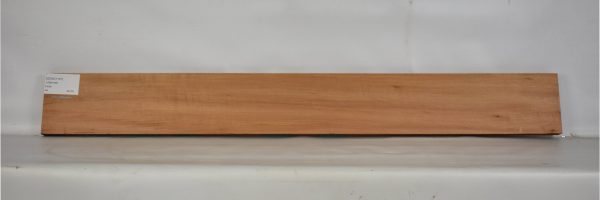 GONC1107_1