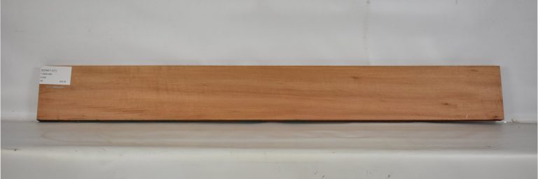 GONC1107_1