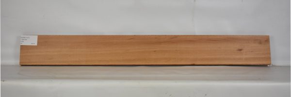 GONC1107_2