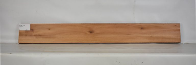 GONC1108_1